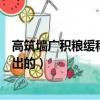 高筑墻廣積糧緩稱王出自哪里（高筑墻廣積糧緩稱王是誰提出的）