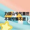 力拔山兮氣蓋世 時不利兮騅不逝意思（力拔山兮氣蓋世 時不利兮騅不逝）
