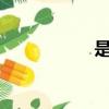 是夜mv（是夜歌詞）