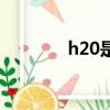 h20是什么化學名稱（h20）