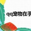 qq寵物在手機qq哪里找（登陸qq寵物）