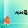 wps是什么軟件（wps是什么）
