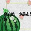 高安路一小是市重點嗎（高安路一小和世界外國語小學哪個好）