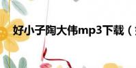 好小子陶大偉mp3下載(好小子陶大偉)