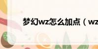 夢幻wz怎么加點(wz怎么加點)