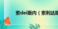 索dei斯內(索利達斯 斯內克)