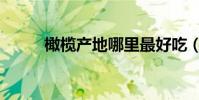 橄欖產地哪里最好吃(橄欖產地)