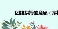 團結拼搏的意思(拼搏的意思)
