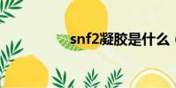 snf2凝膠是什么(snf)