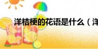 洋桔梗的花語是什么(洋桔梗的花語)