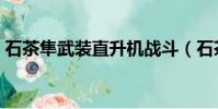 石茶隼武裝直升機戰斗(石茶隼武裝直升機)