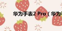 華為手表2 Pro(華為手表2 pro)