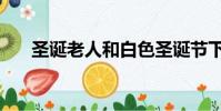 圣誕老人和白色圣誕節下載(圣誕老)