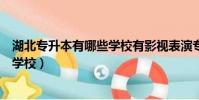 湖北專升本有哪些學校有影視表演專業(湖北專升本有哪些學校)
