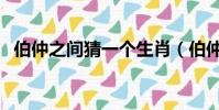 伯仲之間猜一個生肖(伯仲之間打一動物)