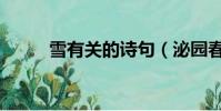 雪有關的詩句(泌園春雪的詩句)
