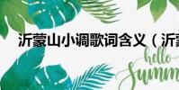沂蒙山小調歌詞含義(沂蒙山小調歌詞)