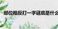 部位相反打一字謎底是什么(部位相反打一字)