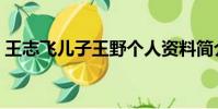 王志飛兒子王野個人資料簡介(王志飛兒子)