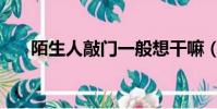 陌生人敲門一般想干嘛(陌生人敲門)