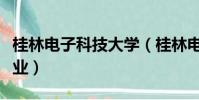 桂林電子科技大學(桂林電子科技大學王牌專業)