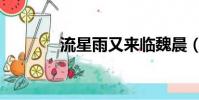 流星雨又來臨魏晨(魏晨吧)