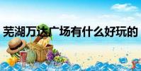 蕪湖萬達廣場有什么好玩的(蕪湖萬達廣場)