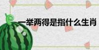 一舉兩得是指什么生肖(一舉兩得)