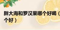 胖大海和羅漢果哪個好喝(胖大海和羅漢果哪個好)