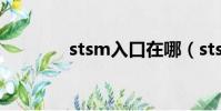 stsm入口在哪(stsm在哪)