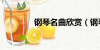 鋼琴名曲欣賞(鋼琴名曲)