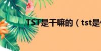TST是干嘛的(tst是什么意思)