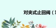 對夾式止回閥(對夾)