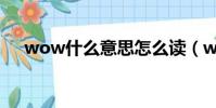 wow什么意思怎么讀(wow什么意思)