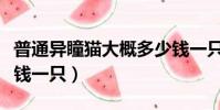 普通異瞳貓大概多少錢一只(異瞳貓大概多少錢一只)