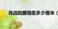 肖戰的腰圍是多少厘米(肖戰的腰圍)