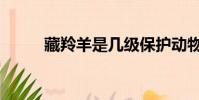 藏羚羊是幾級保護動物(藏羚羊)