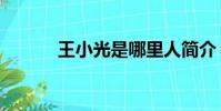 王小光是哪里人簡介(王小光)