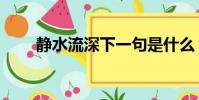 靜水流深下一句是什么(靜水流深)