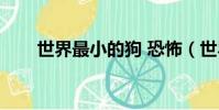 世界最小的狗 恐怖(世界最小的狗)