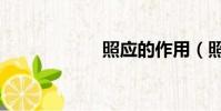 照應的作用(照應)