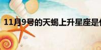 11月9號的天蝎上升星座是什么(11月9號)