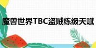 魔獸世界TBC盜賊練級天賦(盜賊練級天賦)