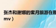 張杰和謝娜的蜜月旅游在那里(張杰和謝娜的mv)