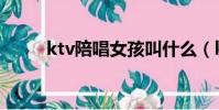 ktv陪唱女孩叫什么(ktv陪唱女)