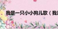 我是一只小小狗兒歌(我是一只小小狗)