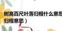 樹高百尺葉落歸根什么意思呢(樹高百尺葉落歸根意思)