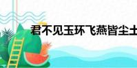 君不見玉環飛燕皆塵土(君不見)