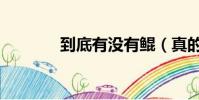 到底有沒有鯤(真的有鯤嗎)