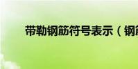 帶勒鋼筋符號表示(鋼筋符號表示)